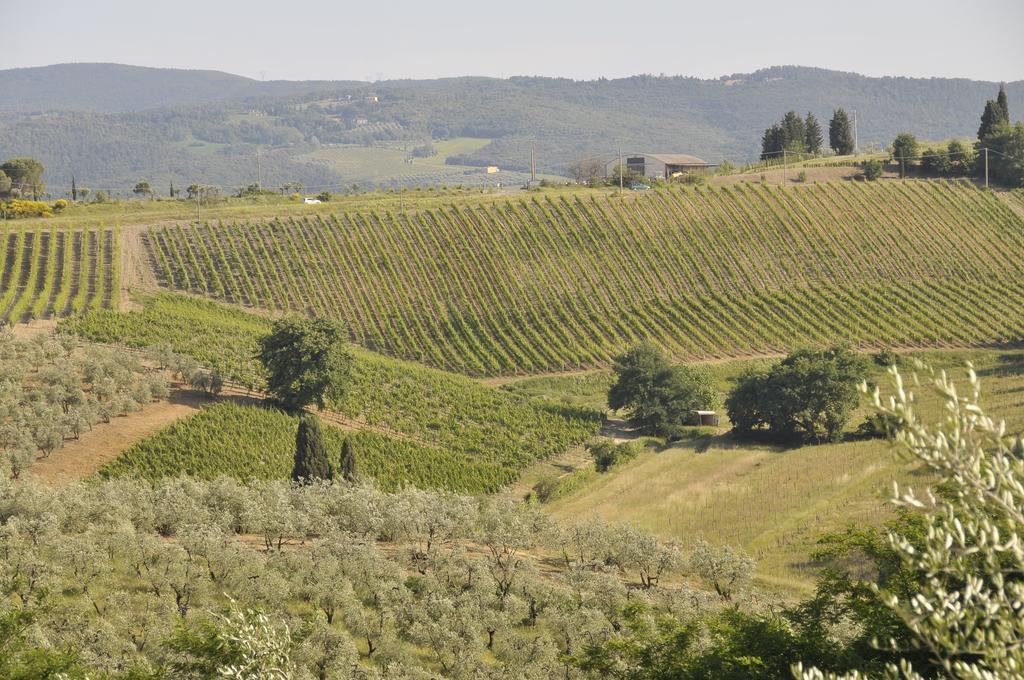 Agriturismo Renai E Monte II Gambassi Terme Luaran gambar
